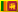 language-flag